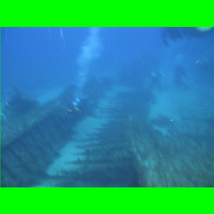 Dive WP Wrecks 25-Oct-09_242.JPG